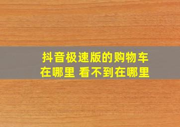 抖音极速版的购物车在哪里 看不到在哪里